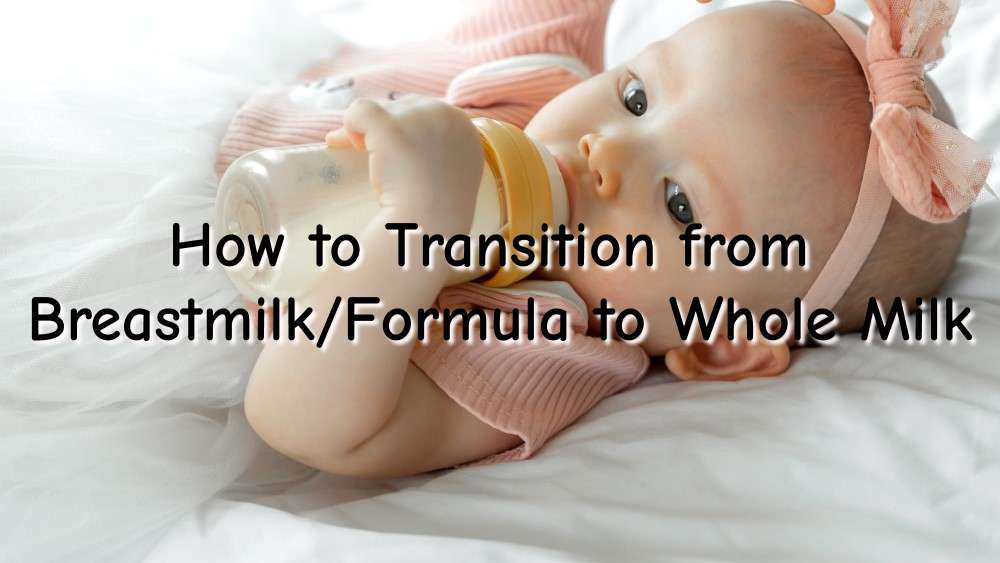 How To Transition From Breastmilk Formula To Whole Milk Baby Product   How To Transition From BreastmilkFormula To Whole Milk 1 