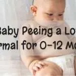 baby peeing a lot: Is it Normal for 0-12 Months Babies?