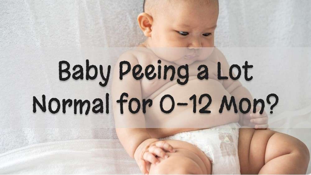 baby peeing a lot: Is it Normal for 0-12 Months Babies?